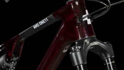 Cube AMS ONE11 C:68X Pro 29 liquidred'n'carbon Gr&ouml;&szlig;e: M Produktbild 6