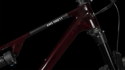 Cube AMS ONE11 C:68X Pro 29 liquidred'n'carbon Gr&ouml;&szlig;e: L Produktbild 2