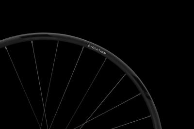 NEWMEN Wheel Evolution SL X.R.25 622 12x100 SP CL 28h FADE Produktbild 2