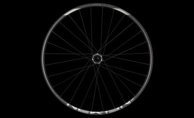 NEWMEN Wheel Advanced SL X.A.25 29" 12x148 SP CL 28h MS FADE Produktbild 1