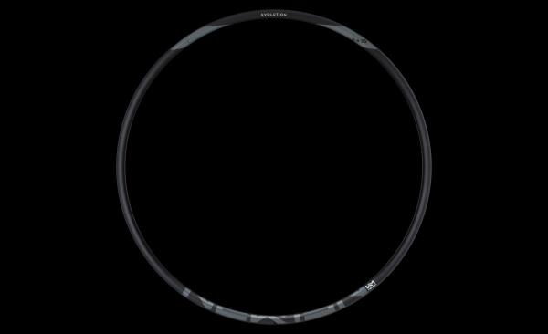 NEWMEN Rim Evolution SL X.A.25 29" 28h blk/gry