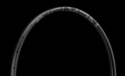 NEWMEN Rim Evolution SL X.A.25 29" 28h blk/gry Produktbild 5