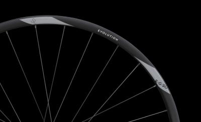 NEWMEN Wheel Evolution SL E.G. 30 27,5" 15x110 SP 6Bolt 28h FADE Produktbild 3