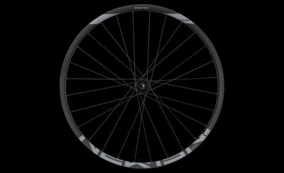 NEWMEN Wheel Evolution SL E.G. 35 29" 12x148 SP 6Bolt 28h SH FADE Produktbild 1