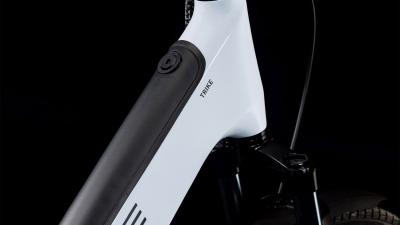 Cube Trike Family Hybrid 750 flashwhite'n'reflex Größe: 24" / 20": ONE SIZE Produktbild 1