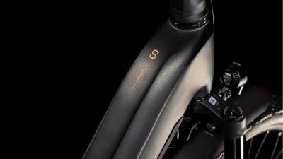 Cube Kathmandu Hybrid SLT 800 golddust'n'black Größe: Easy Entry 46 cm Produktbild 1