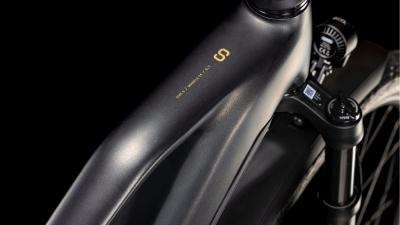 Cube Kathmandu Hybrid SLT 800 golddust'n'black Größe: Trapeze 46 cm Produktbild 1