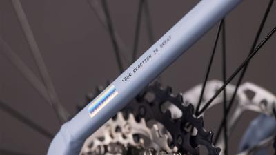 Cube Reaction Hybrid SLX 800 gauzegrey'n'iceblue Größe: Easy Entry S Produktbild 4