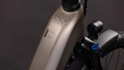 Cube Nuride Hybrid Pro 800 flashstone'n'chrome Größe: Easy Entry 62 cm Produktbild 1