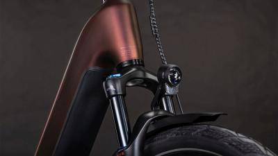 Cube Kathmandu Hybrid Pro 800 sunglow'n'chrome Größe: Easy Entry 46 cm Produktbild 5