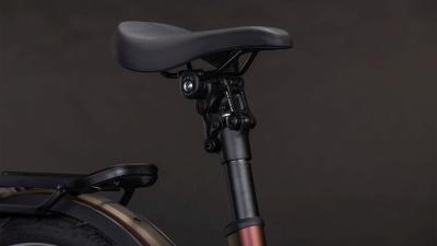 Cube Kathmandu Hybrid Pro 800 sunglow'n'chrome Größe: Easy Entry 54 cm Produktbild 4