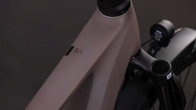 Cube Kathmandu Hybrid EXC 800 cedar'n'chrome Größe: 50 cm Produktbild 1