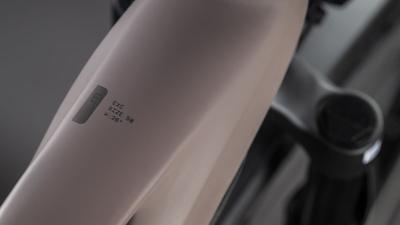 Cube Kathmandu Hybrid EXC 800 cedar'n'chrome Größe: Trapeze 50 cm Produktbild 1