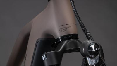 Cube Kathmandu Hybrid EXC 800 cedar'n'chrome Größe: Trapeze 54 cm Produktbild 5