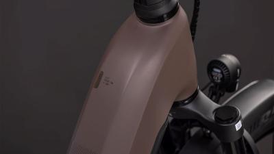 Cube Kathmandu Hybrid EXC 800 cedar'n'chrome Größe: Easy Entry 54 cm Produktbild 1