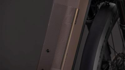 Cube Kathmandu Hybrid EXC 800 cedar'n'chrome Größe: Easy Entry 62 cm Produktbild 3