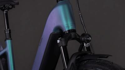 Cube Kathmandu Hybrid EXC 800 smaragdgrey'n'prism Größe: Easy Entry 58 cm Produktbild 5