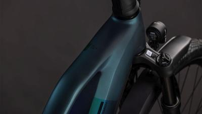 Cube Kathmandu Hybrid SLT 800 duskwood'n'goblin Größe: Trapeze 50 cm Produktbild 1