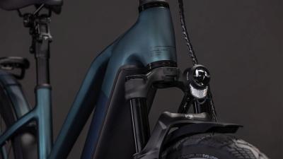 Cube Kathmandu Hybrid SLT 800 duskwood'n'goblin Größe: Trapeze 50 cm Produktbild 4