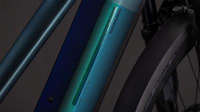 Cube Kathmandu Hybrid SLT 800 duskwood'n'goblin Größe: Trapeze 54 cm Produktbild 2