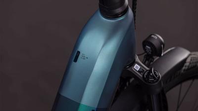 Cube Kathmandu Hybrid SLT 800 duskwood'n'goblin Größe: Easy Entry 54 cm Produktbild 1