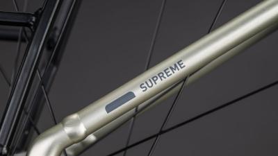 Cube Supreme RT Hybrid Comfort EXC 600 champagne'n'grey Größe: Easy Entry 54 cm Produktbild 4