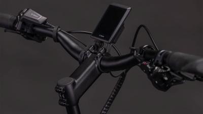 Cube Longtail Hybrid 800 royalgreen'n'black Größe: 26": ONE SIZE Produktbild 2