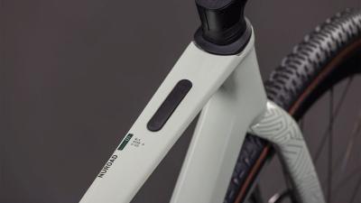 Cube Nuroad C:62 SLX reedbeige'n'chrome Größe: L Produktbild 1