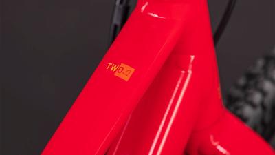 Cube Numove 240 Disc redrose'n'peach Größe: 24" Produktbild 3