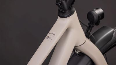 Cube Editor Pro FE oatgrey'n'grey Größe: Trapeze 46 cm Produktbild 1