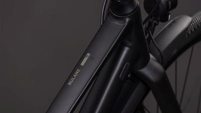 Cube Nulane Pro FE grey'n'chrome Größe: Trapeze 50 cm Produktbild 1