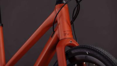 Cube Nulane Race amber'n'black Größe: Trapeze 53 cm Produktbild 5