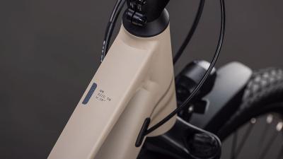 Cube Kathmandu ONE oatgrey'n'grey Größe: Trapeze 50 cm Produktbild 3