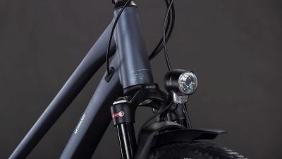 Cube Kathmandu EXC metallicgrey'n'chrome Größe: Trapeze 46 cm Produktbild 5