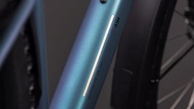 Cube Aim Pro FE smaragdgrey'n'prism Größe: L Produktbild 2