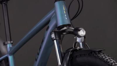 Cube Aim Pro FE smaragdgrey'n'prism Größe: XXL Produktbild 4