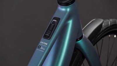 Cube Editor Hybrid SLT 400X FE smaragdgrey'n'prism Größe: Trapeze 54 cm Produktbild 1