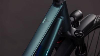 Cube Kathmandu SLT duskwood'n'goblin Größe: Trapeze 46 cm Produktbild 1