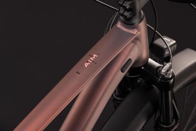 Cube Aim SLX FE rustyrose'n'peach Gr&ouml;&szlig;e: XS Produktbild 1